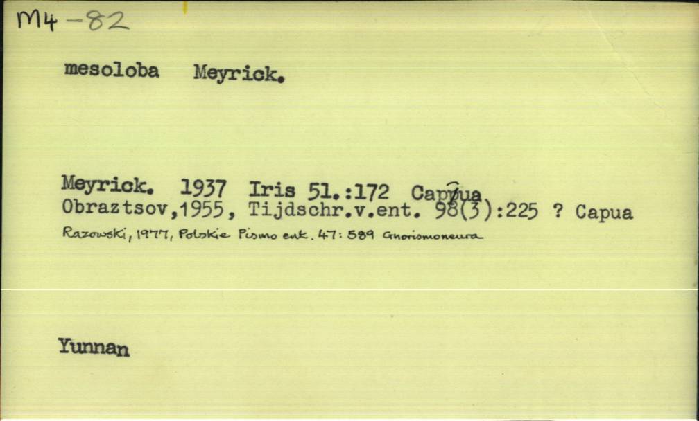 front of card